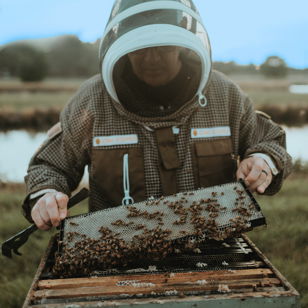 Sting Stopper Professional Ventilated Beekeeping Jacket - Olive Green