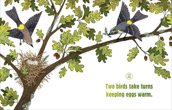 Counting on Birds by The Creative Company Shop