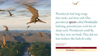 When Dinosaurs Lived: Pterodactyls by The Creative Company Shop