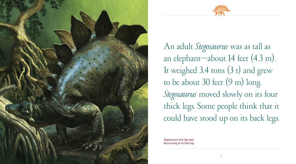 When Dinosaurs Lived: Stegosaurus by The Creative Company Shop