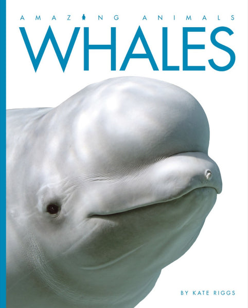 Amazing Animals (2014): Whales by The Creative Company Shop