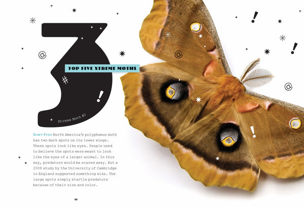 X-Books: Insects: Moths by The Creative Company Shop