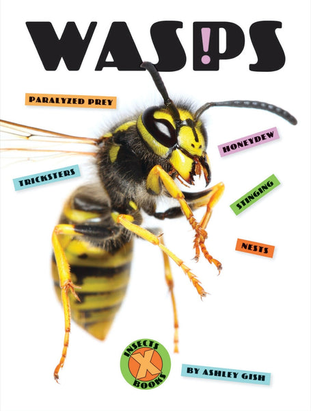 X-Books: Insects: Wasps by The Creative Company Shop