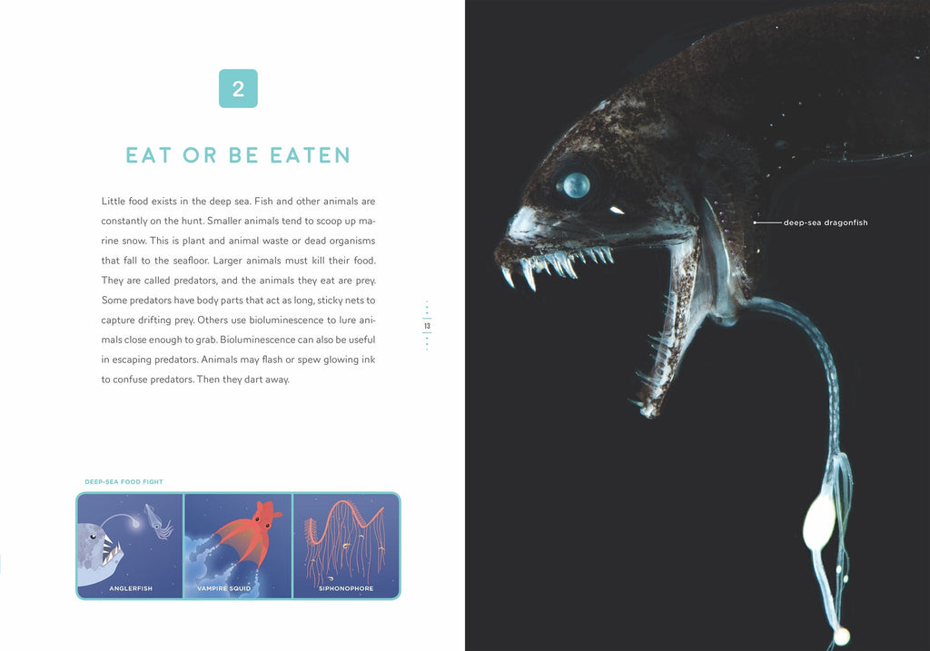 Down in the Ocean: Deep-Sea Mysteries by The Creative Company Shop