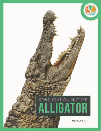 Spotlight on Nature: Alligator by The Creative Company Shop