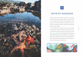 Down in the Ocean: Tide Pool Treasures by The Creative Company Shop