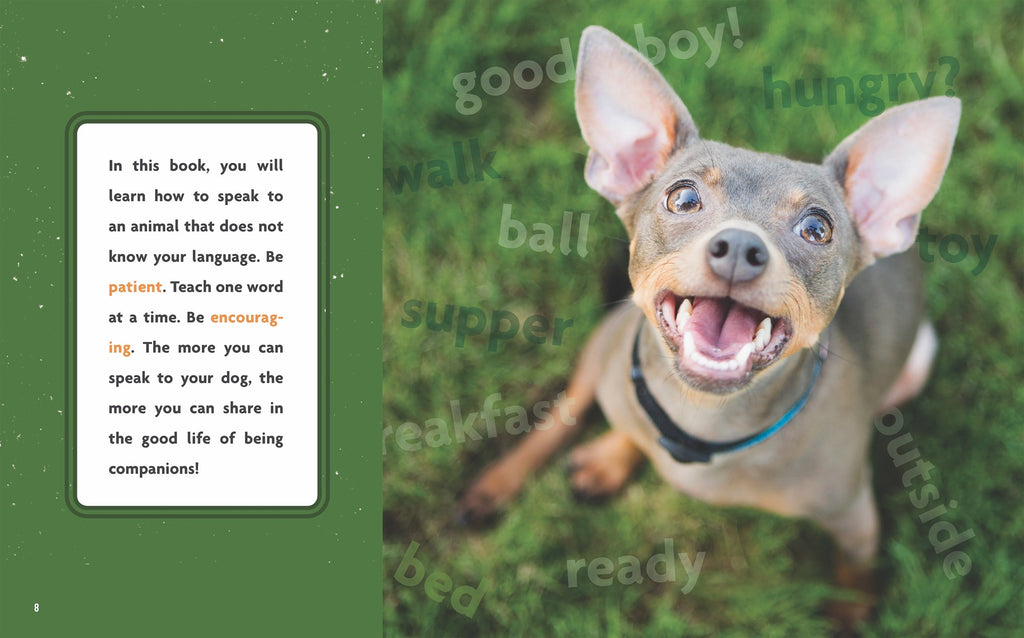 Dog's Life, A: Speaking to Your Dog by The Creative Company Shop