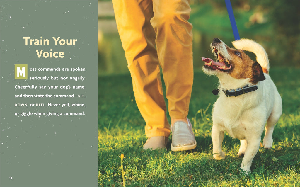 Dog's Life, A: Speaking to Your Dog by The Creative Company Shop