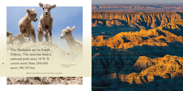 National Park Explorers: Badlands by The Creative Company Shop