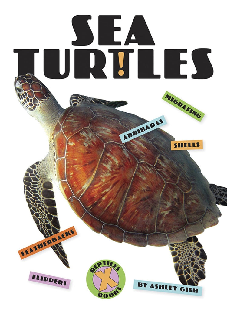 X-Books: Reptiles: Sea Turtles by The Creative Company Shop