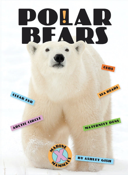 X-Books: Marine Mammals: Polar Bears by The Creative Company Shop