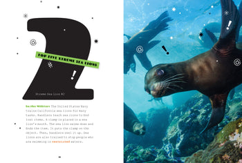 X-Books: Marine Mammals: Sea Lions by The Creative Company Shop