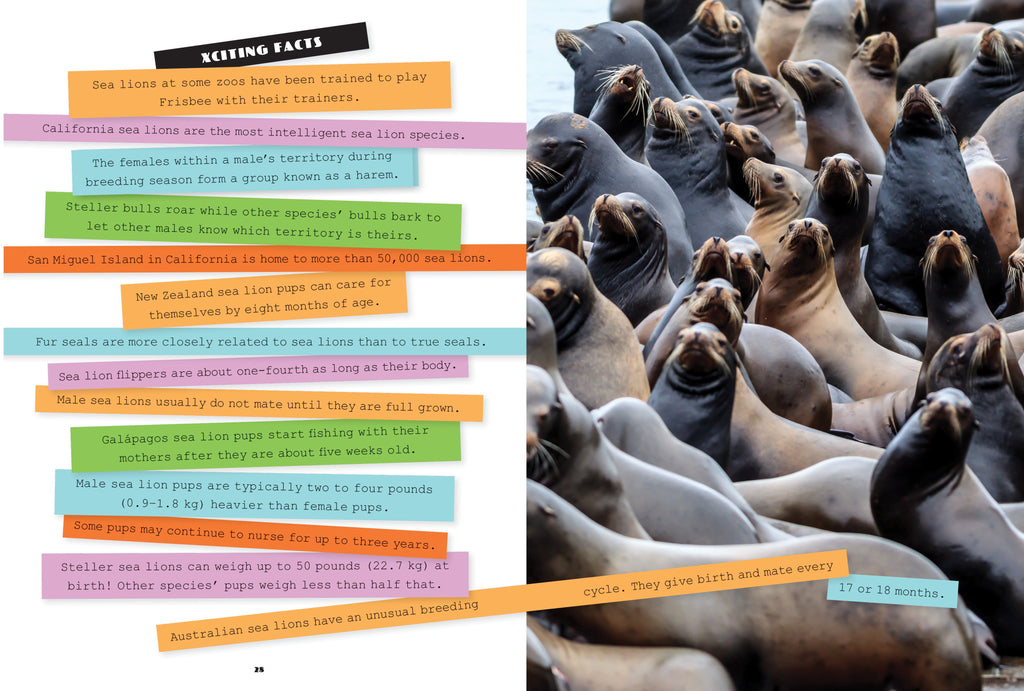 X-Books: Marine Mammals: Sea Lions by The Creative Company Shop