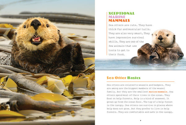 X-Books: Marine Mammals: Sea Otters by The Creative Company Shop