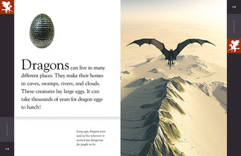 Amazing Mysteries: Dragons by The Creative Company Shop