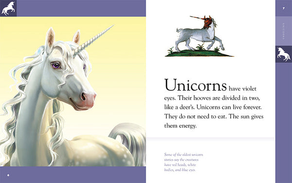 Amazing Mysteries: Unicorns by The Creative Company Shop