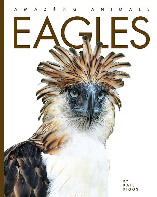 Amazing Animals (2022): Eagles by The Creative Company Shop