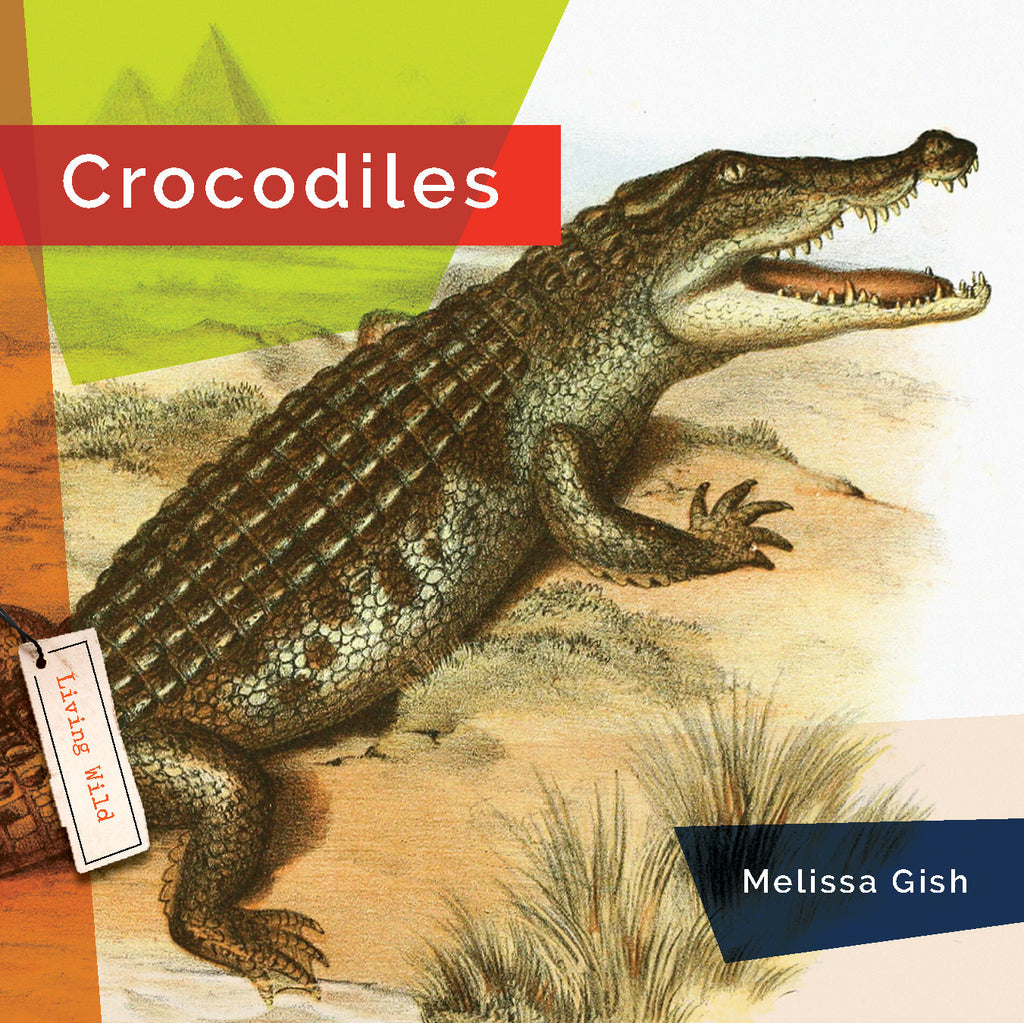 Living Wild (2024): Crocodiles by The Creative Company Shop