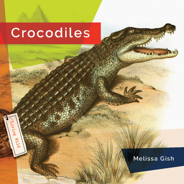 Living Wild (2024): Crocodiles by The Creative Company Shop