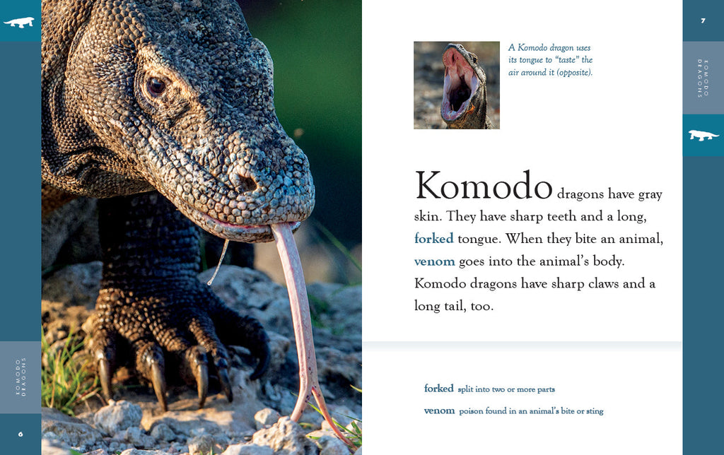 Amazing Animals (2022): Komodo Dragons by The Creative Company Shop