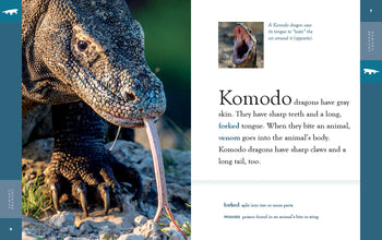 Amazing Animals (2022): Komodo Dragons by The Creative Company Shop