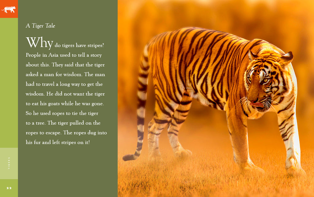 Amazing Animals (2022): Tigers by The Creative Company Shop