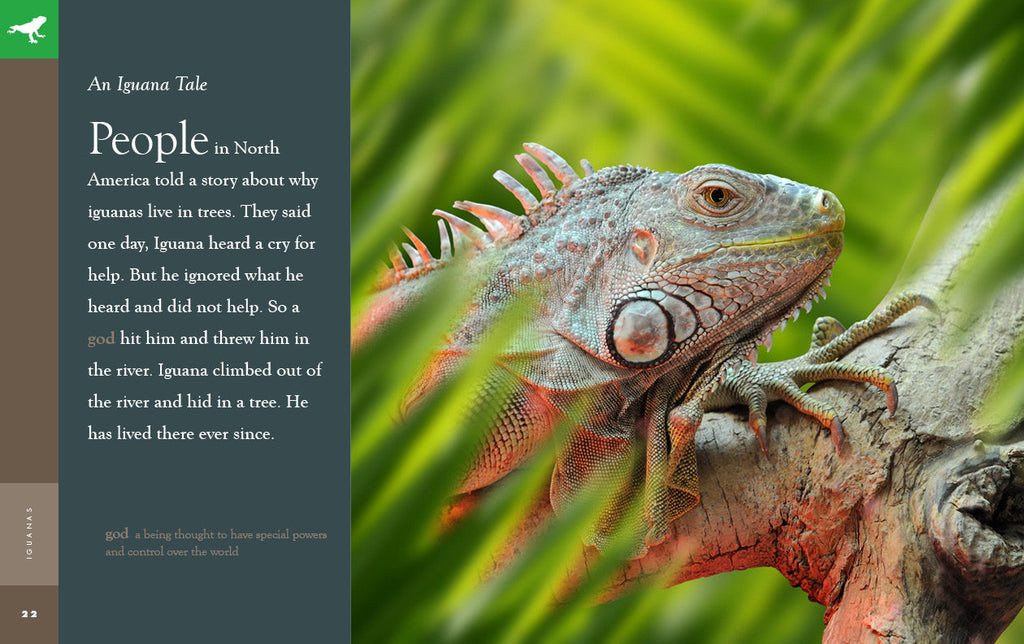 Amazing Animals (2022): Iguanas by The Creative Company Shop