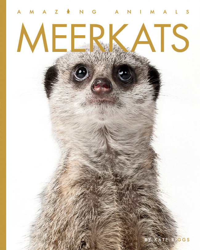 Amazing Animals (2022): Meerkats by The Creative Company Shop