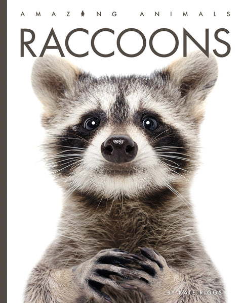 Amazing Animals (2022): Raccoons by The Creative Company Shop