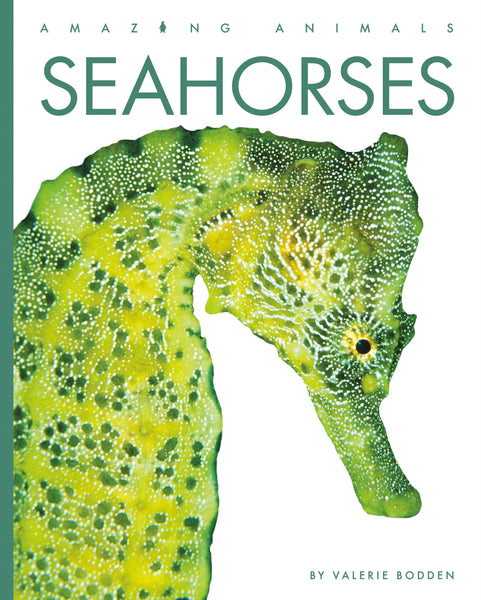 Amazing Animals (2022): Seahorses by The Creative Company Shop