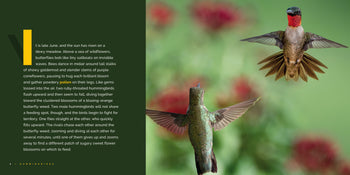 Living Wild (2024): Hummingbirds by The Creative Company Shop