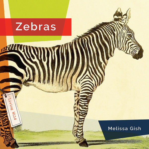 Living Wild (2024): Zebras by The Creative Company Shop