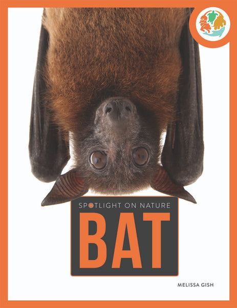 Spotlight on Nature: Bat by The Creative Company Shop