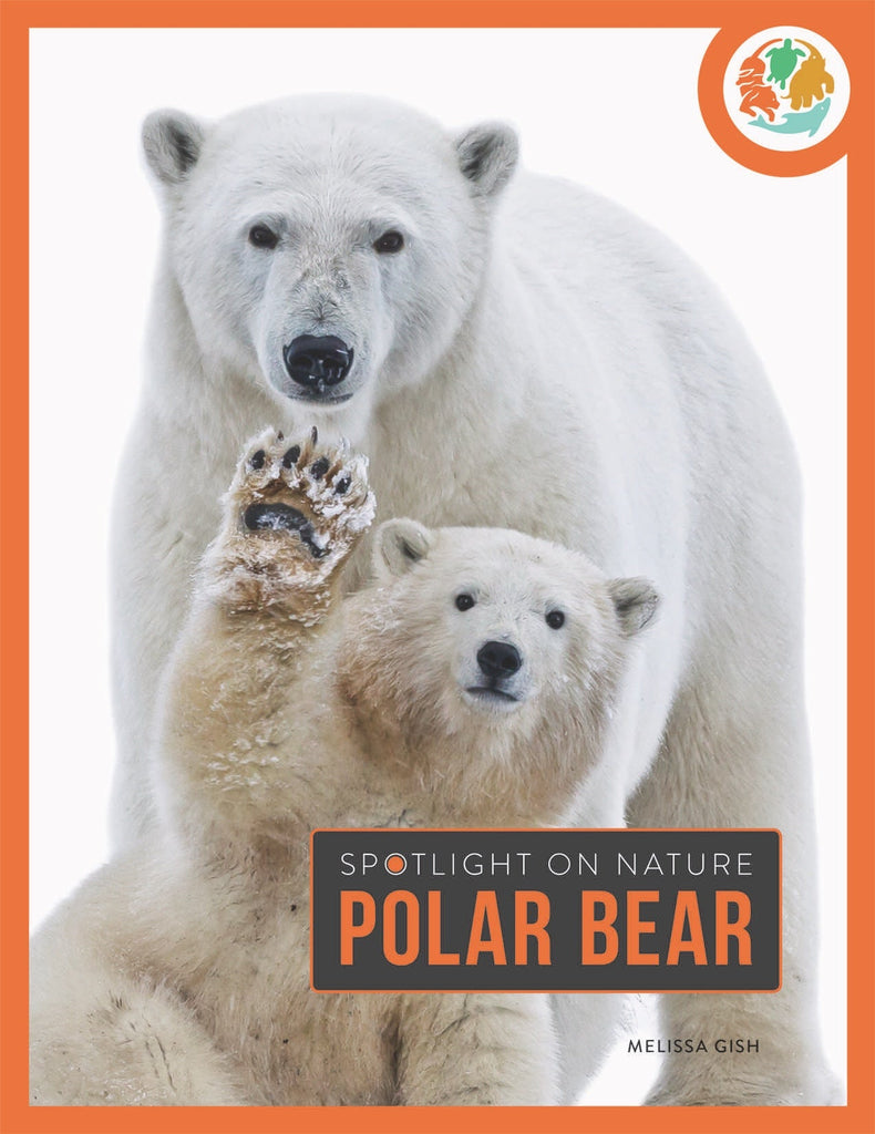 Spotlight on Nature: Polar Bear by The Creative Company Shop