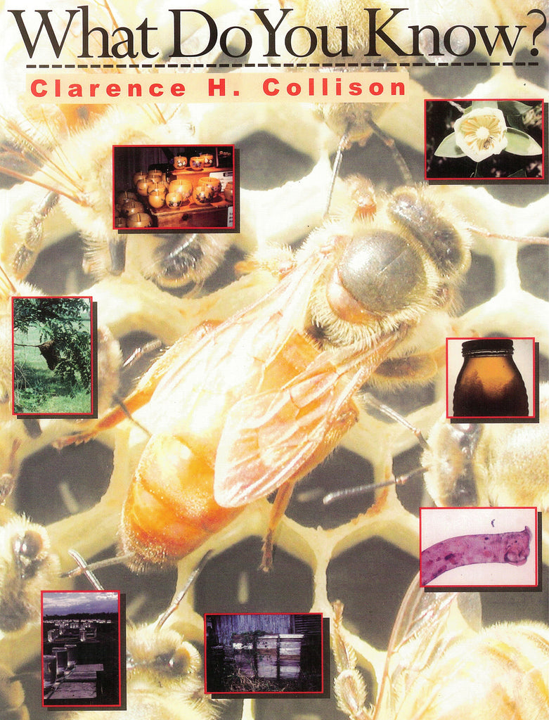 What Do You Know? Book