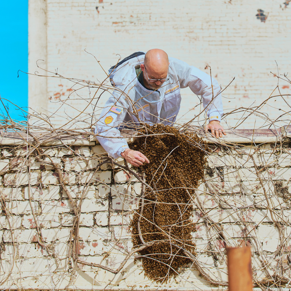 Sting Stopper Professional Ventilated Beekeeping Jacket - Beekeeper White