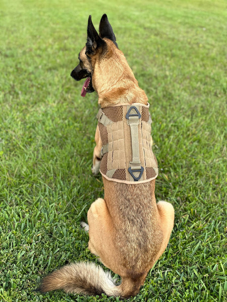 Artemis Dog Harness