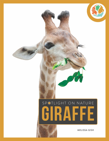 Spotlight on Nature: Giraffe by The Creative Company Shop