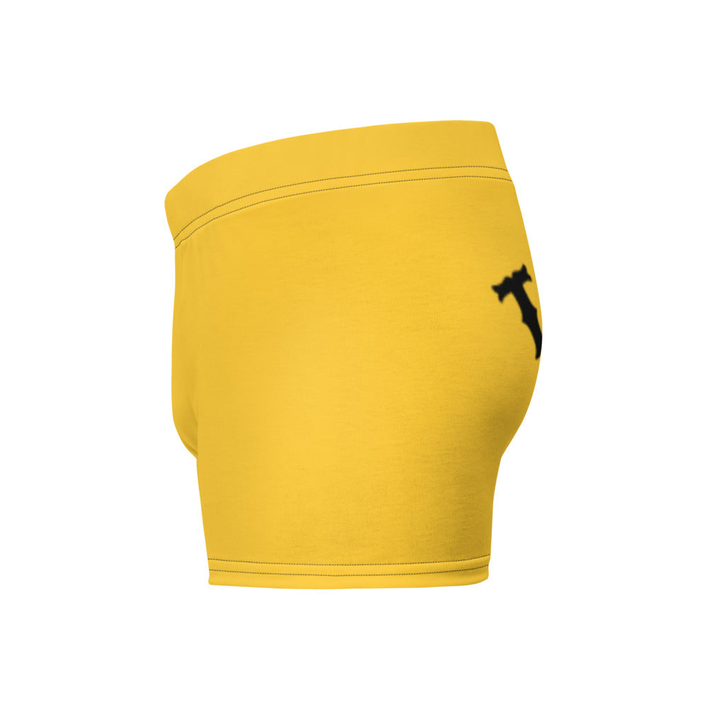 Tax This Ancap Porcupine Boxer Briefs - Proud Libertarian - Proud Libertarian